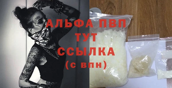 прущие грибы Горняк