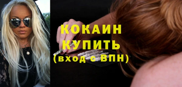 прущие грибы Горняк