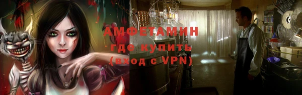 прущие грибы Горняк