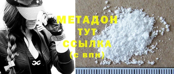 прущие грибы Горняк