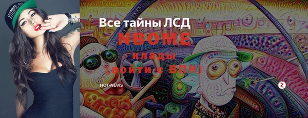 прущие грибы Горняк