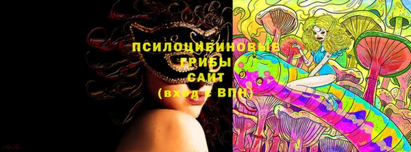 дмт Горно-Алтайск