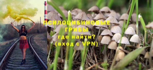прущие грибы Горняк
