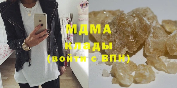 прущие грибы Горняк