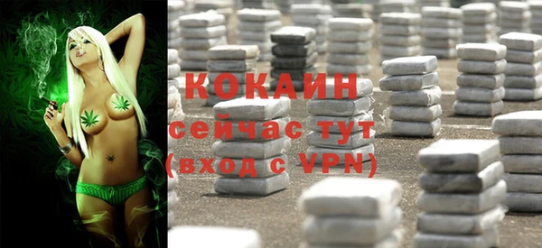 прущие грибы Горняк