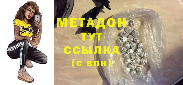 прущие грибы Горняк