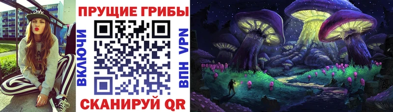Псилоцибиновые грибы ЛСД  Купить  Каменногорск 