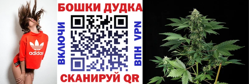 Купить  Каменногорск  Каннабис гибрид 